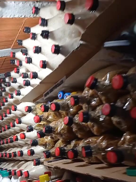 Despensa con cientos de botellas llenas de granos